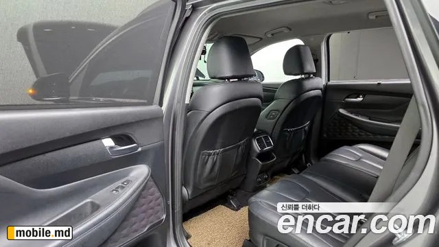 2019 Hyundai Santafe — photo 17