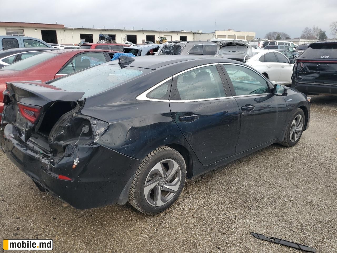 2019 Honda Insight — photo 3
