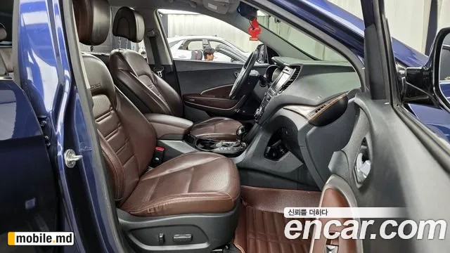 2017 Hyundai Maxcruz — photo 11