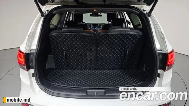 2018 Hyundai Maxcruz — photo 20