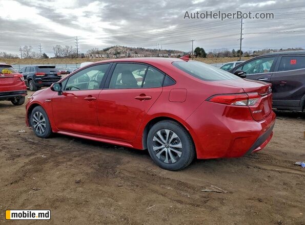 2020 Toyota Corolla — photo 2