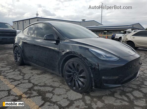 2023 Tesla Model Y — photo 4