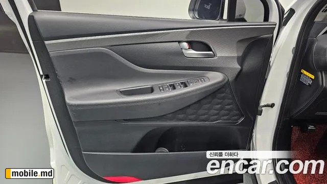 2019 Hyundai Santafe — photo 24