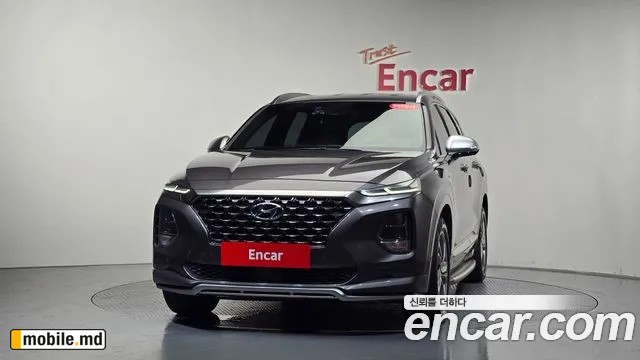 2019 Hyundai Santafe — photo 3