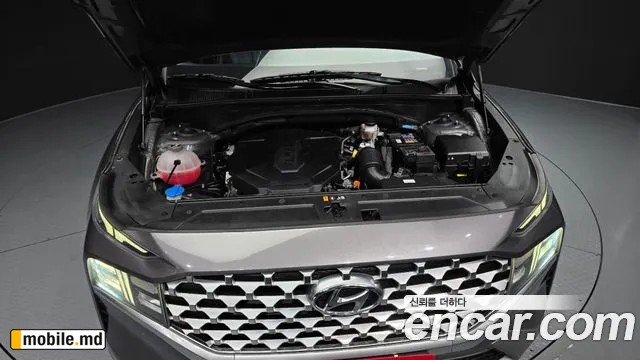 2021 Hyundai Santafe — photo 6