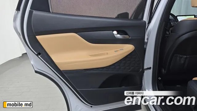 2021 Hyundai Santafe — photo 25