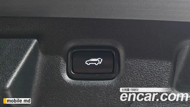 2020 Hyundai Santafe — photo 15