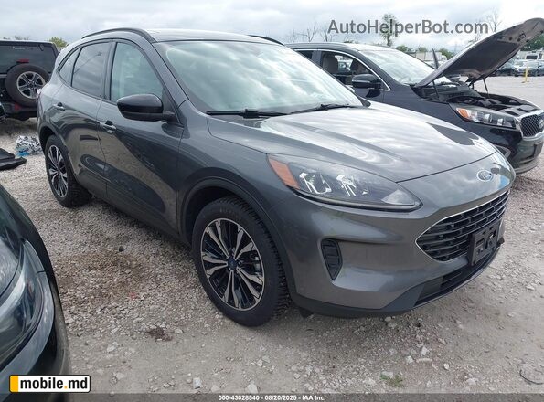 2022 Ford Escape