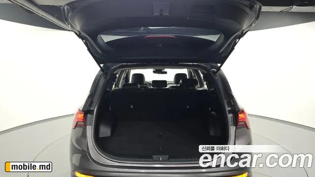 2021 Hyundai Santafe — photo 31