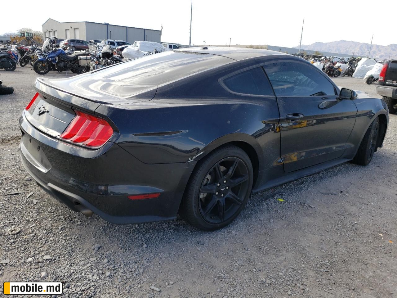 2019 Ford Mustang — photo 2