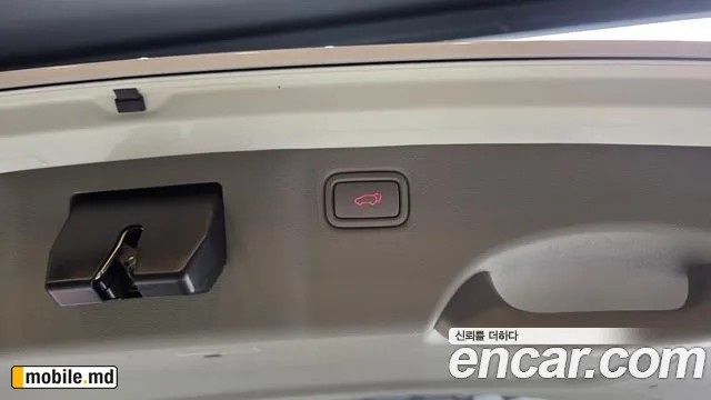 2019 Kia Canival — photo 27