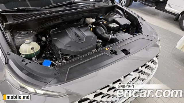 2021 Hyundai Santafe — photo 6