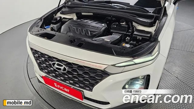 2019 Hyundai Santafe — photo 6