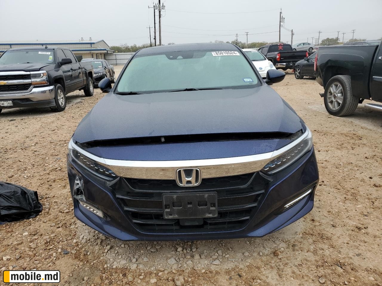 2020 Honda Accord — photo 5