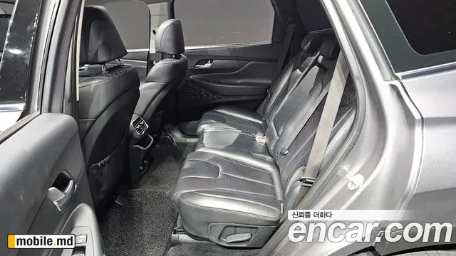 2019 Hyundai Santafe — photo 12
