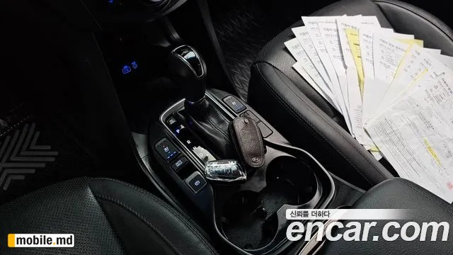 2018 Hyundai Maxcruz — photo 9