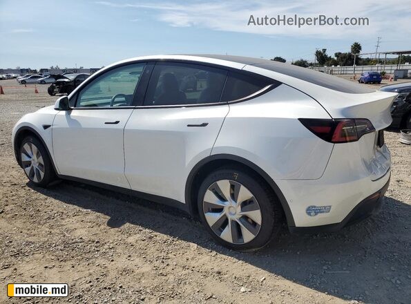 2021 Tesla Model Y — photo 2