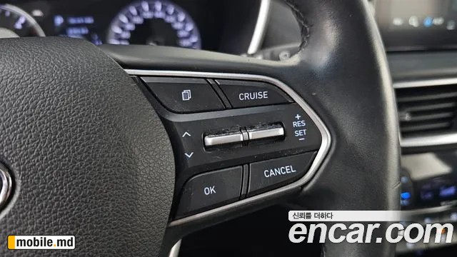 2019 Hyundai Santafe — photo 16