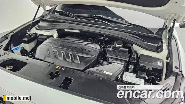 2019 Hyundai Santafe — photo 6