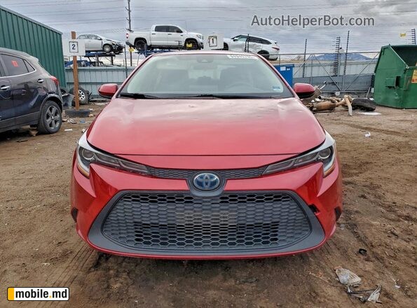 2020 Toyota Corolla — photo 5