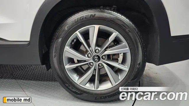 2019 Hyundai Santafe — photo 21