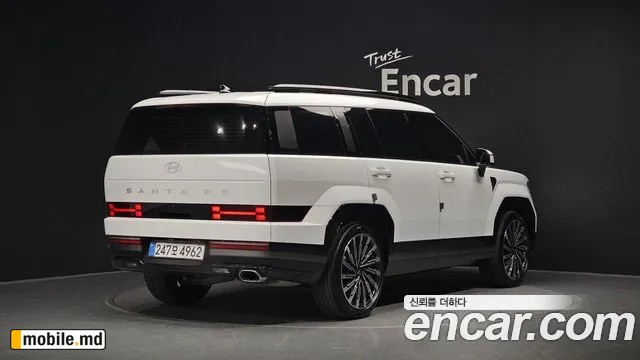 2025 Hyundai Santafe — photo 2
