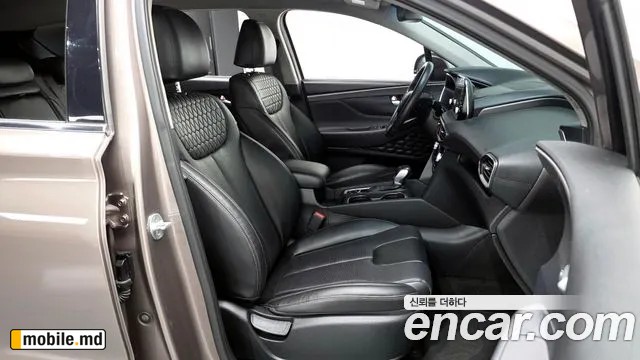 2019 Hyundai Santafe — photo 26