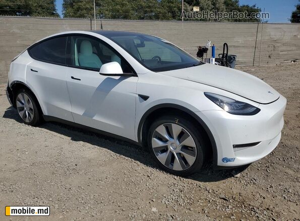 2021 Tesla Model Y — photo 4