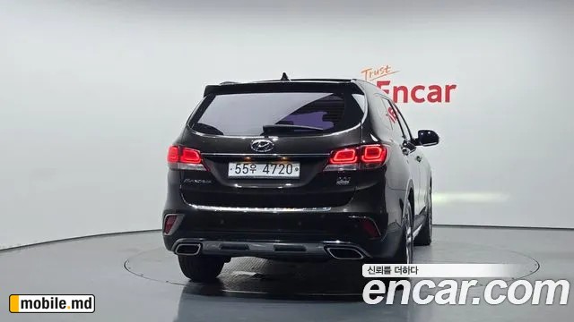 2018 Hyundai Maxcruz — photo 4
