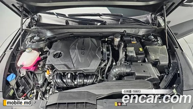 2025 Kia K8 — photo 6