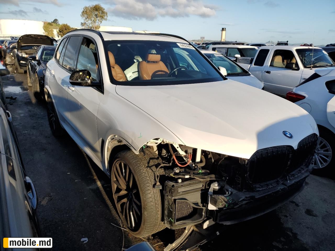 2019 BMW X5 — photo 4