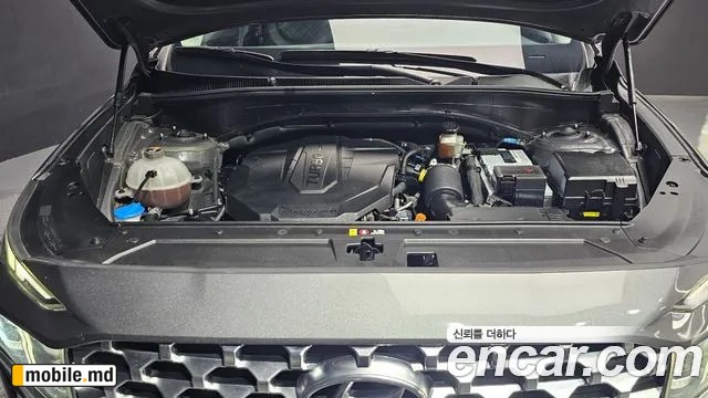 2021 Hyundai Santafe — photo 6