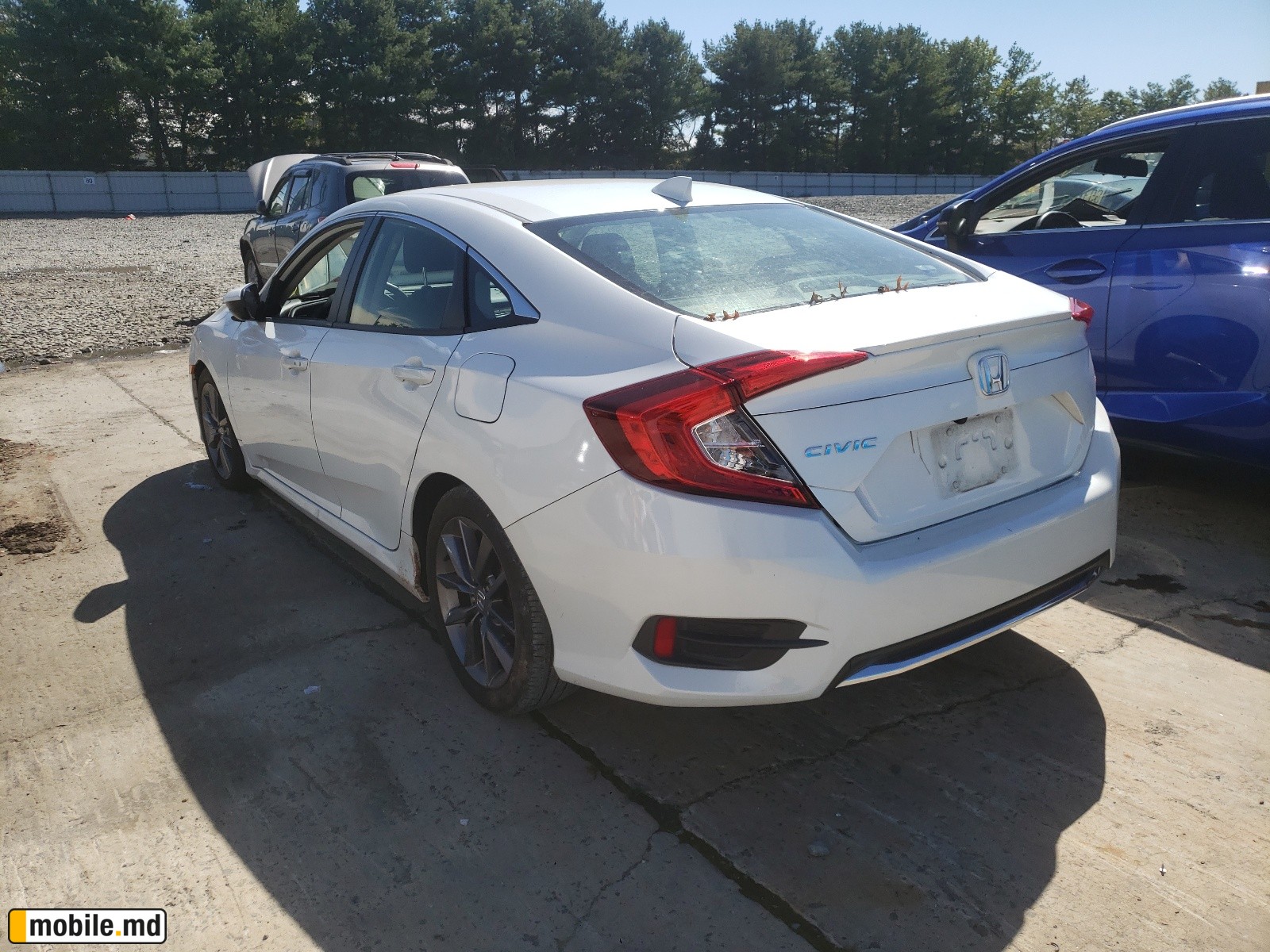 2019 Honda Civic — photo 3