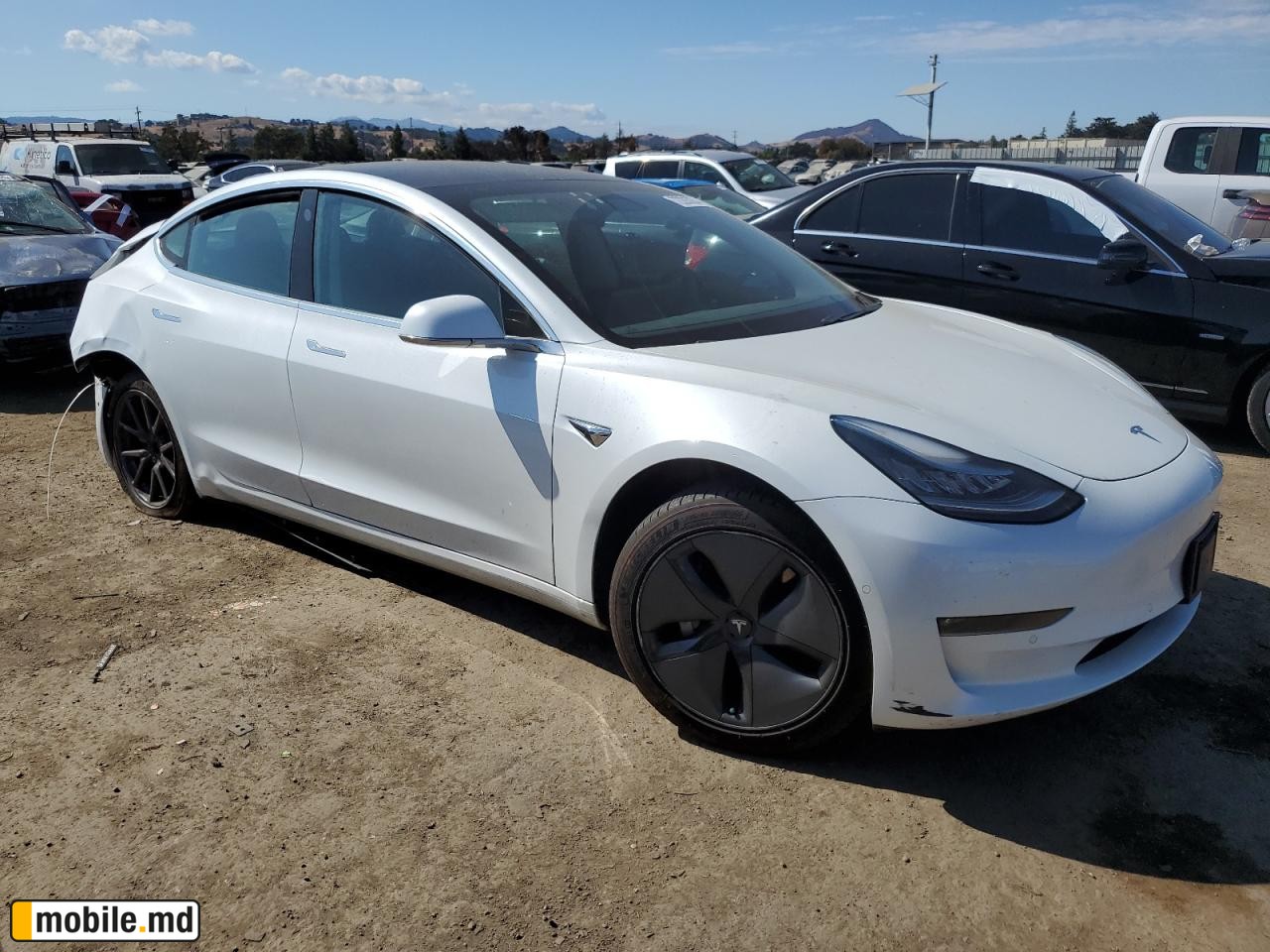 2020 Tesla Model 3 — photo 4