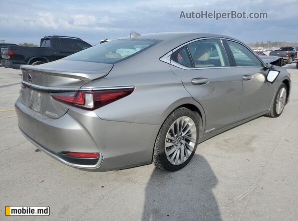 2020 Lexus ES — photo 3