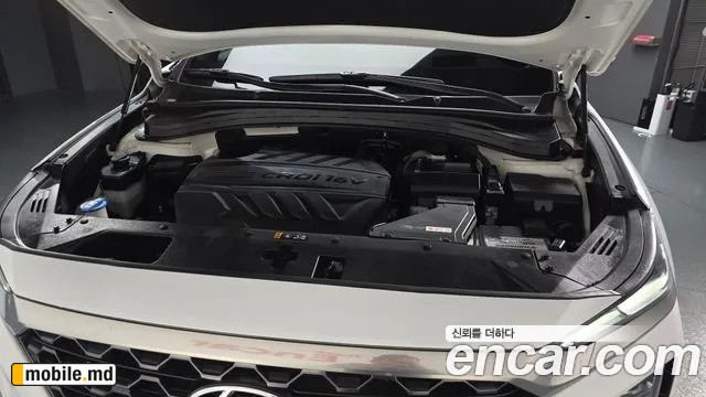 2019 Hyundai Santafe — photo 6