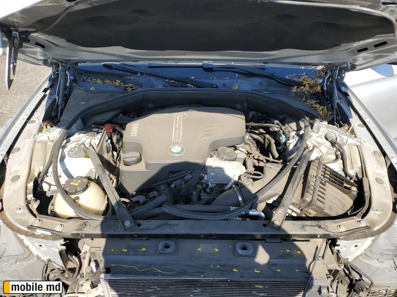 2015 BMW 528 Xi — photo 11