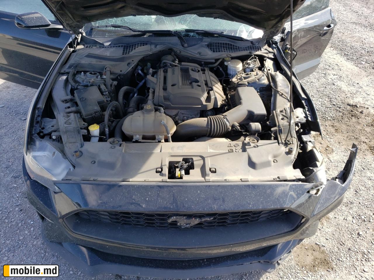 2019 Ford Mustang — photo 10