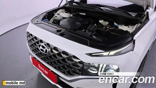 2021 Hyundai Santafe — photo 6
