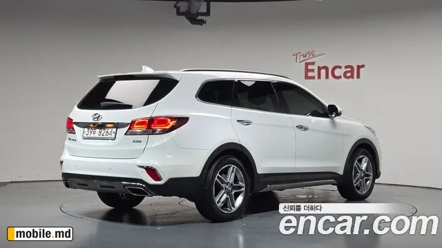 2018 Hyundai Maxcruz — photo 2