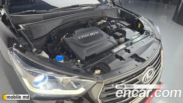 2018 Hyundai Maxcruz — photo 6