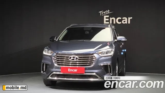 2017 Hyundai Maxcruz — photo 3