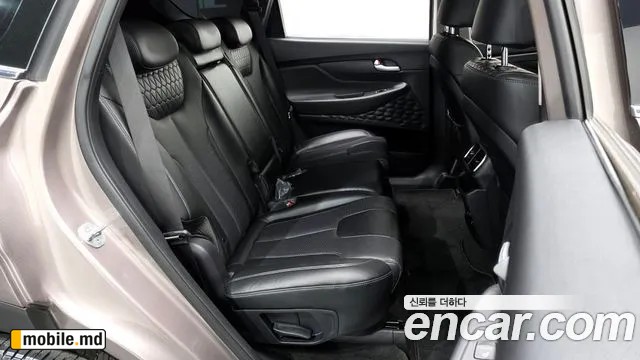 2019 Hyundai Santafe — photo 11