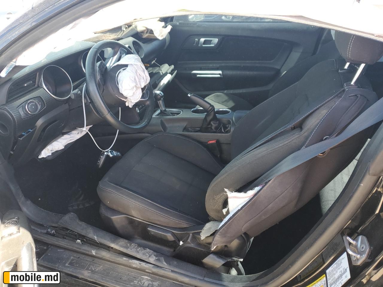 2019 Ford Mustang — photo 6