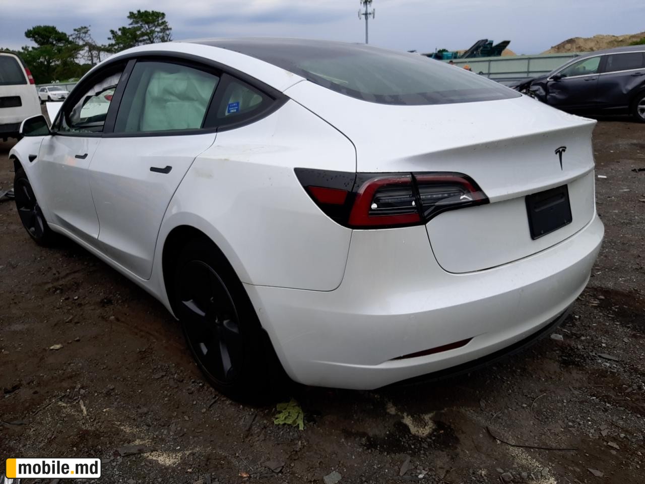 2021 Tesla Model 3 — photo 3