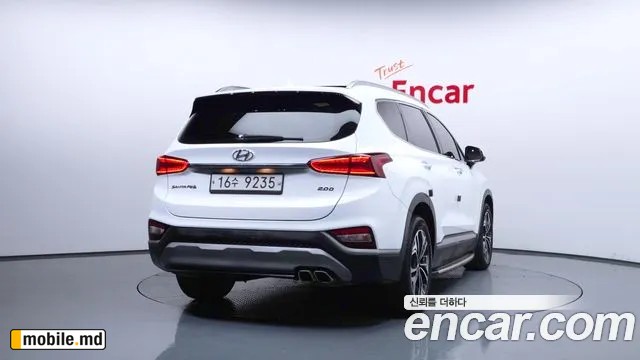 2019 Hyundai Santafe — photo 4