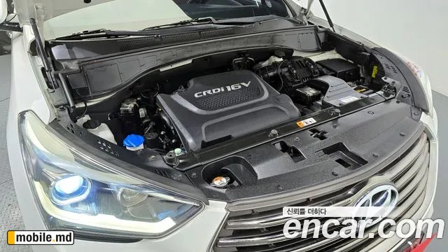 2018 Hyundai Maxcruz — photo 6