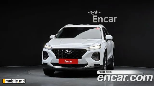 2019 Hyundai Santafe — photo 3