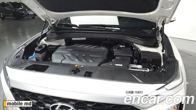 2019 Hyundai Santafe — photo 6