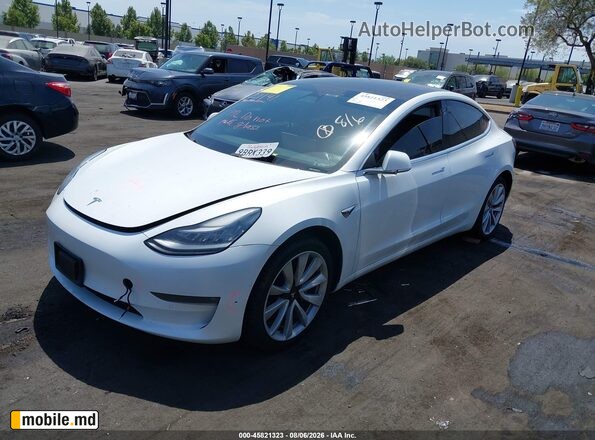 2019 Tesla Model 3 — photo 2